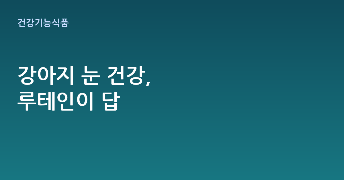 강아지 루테인 영양제, 언제부터 어떻게 먹여야 할까? (선택 기준 총정리)
